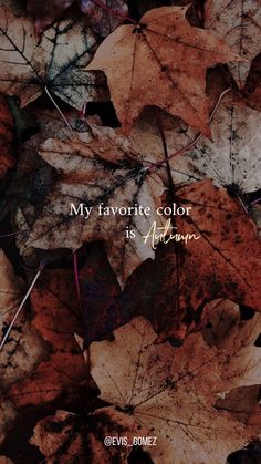 leaves with the words, my favorite color is autumn