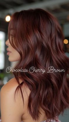 Cinnamon Red Hair Color Dark Brown, Brunette With Red Tones, Fall Hair Colors Red Brown, Fall Brown Red Hair, Reddy Brown Hair Colour, Cherry Chocolate Brown Hair Color, Brown Hair Copper Undertone, Hair Colour Red Brown, 2020 Hair Trends Colour