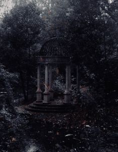 a gazebo in the middle of a forest surrounded by tall trees and bushes on a foggy day