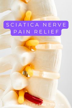 Sciatica nerve pain can be debilitating, affecting your daily activities and quality of life. Finding relief is crucial for those suffering from this condition. Here are some effective ways to alleviate sciatica nerve pain: Sciatica Pain Relief