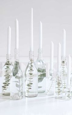 there are many bottles with plants in them and one is filled with water, the other has candles