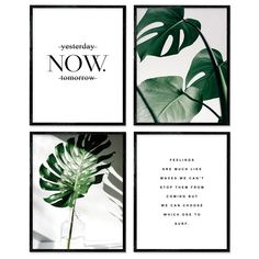 four different frames with plants in them and the words today, now tomorrow on them