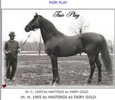 an old photo of a man standing next to a brown horse with the caption fair play