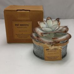 a potted plant sitting in front of a box