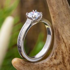 a close up view of a diamond ring on a tree branch with leaves in the background