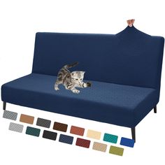 a cat sitting on top of a blue couch next to color swatches in front of it