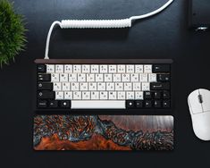 a keyboard and mouse sitting on top of a desk next to a potted plant