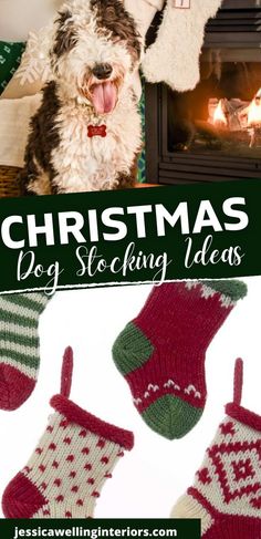 a dog sitting in front of a fireplace with christmas stockings hanging from it's legs