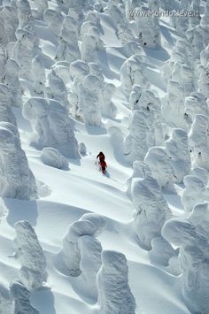 a person skiing down a snow covered mountain with lots of trees in the foreground