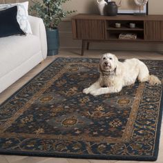 a white dog laying on top of a blue rug