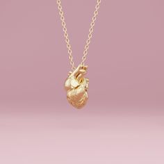 Shop at our store and do good. We donate 1 USD for each product in your order to science education. Anatomical heart necklace. Free US shipping! Need shipping to the EU? Check our EU version: https://www.etsy.com/listing/1187260146/anatomical-heart-necklace 3D printed in wax and cast on demand. Ships from Europe or the US (whichever is closer to you). Comes in a little black velvet bag. One solid piece of an anatomically correct human heart. The model is not hollow, hence it's a bit more expensi Human Heart Necklace, Anatomical Heart Pendant, Anatomically Correct Heart, Anatomical Heart Necklace, Heart Valves, Fish Necklace, Anatomical Heart, Human Heart, Bird Pendant