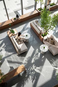 an overhead view of a living room with couches, tables and plants in it