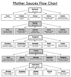 a flow diagram showing the different types of people's names and their meaningss