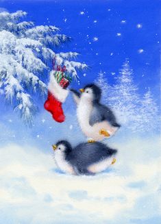 two birds are playing in the snow with a christmas stocking hanging from a tree