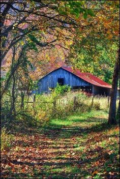 an old blue barn surrounded by trees and leaves