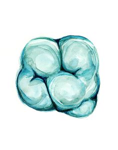 A lovely abstract print of an original watercolor that I made of an occlusal view of a molar, the second in the aqua molar series It uses a calm and soothing aqua color palette. Ideal for any dentist office or living space. NAME: Occlusal Molar in Aqua II  PAPER & INK: The print will come Tooth Painting, Aqua Color Palette, Dental Quotes, Aqua Watercolor, Dentist Office