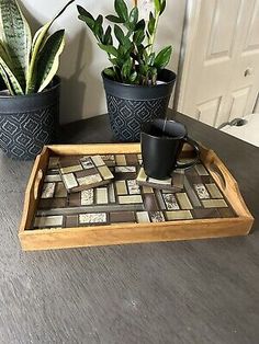 two potted plants are sitting on a tray next to a cup and saucer