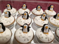 cupcakes with white frosting and penguins on them in a plastic container together