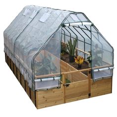 a small greenhouse with several plants in it