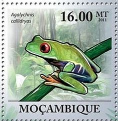 a postage stamp with a frog on it's back and the words mocambique