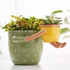 PRICES MAY VARY. Adorable planter that will melt your heart. A must have addition to your plant family Ideal pot for indoor plants, fits 4” and 5” nursery pots, and up to 2.5” small succulent pots. Both pots have drainage Cute decor for any part of your home. This flower pot makes a cute gift for plant lovers Lovingly handcrafted by artisans. Available in 3 cheerful colors to instantly brighten up any space A thoughtful and cute gift for all the plant lovers in your life! Small Plant Pots, Cute Pots, Pots For Indoor Plants, Indoor Flower Pots, Small Flower Pots, Flower Pot Garden, Green Product, Unique Planter, Small Potted Plants