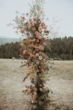 an arrangement of flowers on the ground with trees in the background