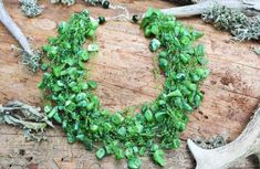 Green necklace, Mother of pearls necklace, Natural stones jewelry, Multistrand necklace, Flexible bib necklace, Air crocheted jewelry. Bright green airy crocheted necklace with green mother of pearls chips and glass seed beads. A bright, beautiful and flexible piece of jewelry, it will be a great Natural Stones Jewelry, Crocheted Jewelry, Thick Necklace, Bubble Necklaces, Natural Jewelry, Stones Jewelry, Rainbow Jewelry, Pearls Necklace, Mother Of Pearl Necklace