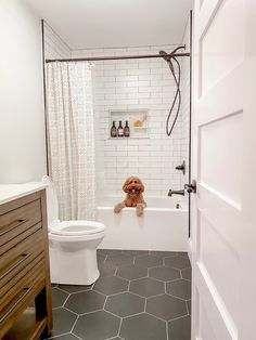 a teddy bear sitting on the edge of a bathtub next to a toilet in a bathroom