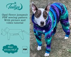 an image of a dog wearing pajamas in the grass with stars and moon on it