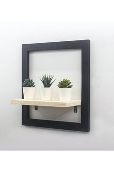 three succulents are sitting on a shelf in front of a mirror