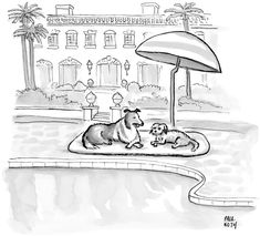 two dogs are sitting under an umbrella in the pool drawing by bill swarton