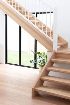 there is a plant that is sitting on the floor in front of some stairs with glass doors