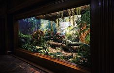 dinosaurs in an exhibit with trees and plants