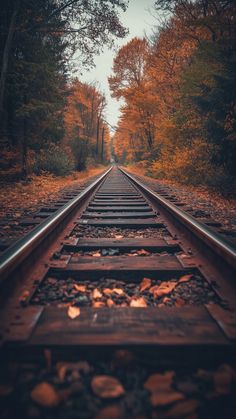 an old train track in the middle of trees with leaves on it and one way