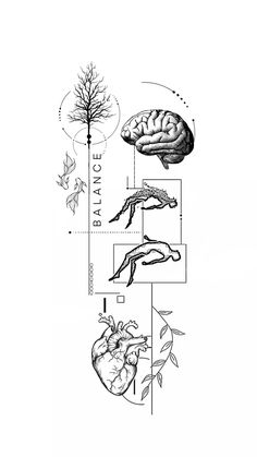 the diagram shows different parts of an animal's body and its surroundings, as well as