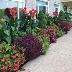 many different types of flowers in front of a building