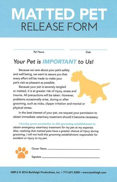 a pet information card with a dog on it