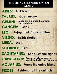 the zodiac signs are arranged on an old parchment paper with green ink and black lettering