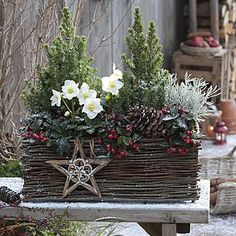 a basket filled with flowers sitting on top of a wooden bench next to snow covered ground