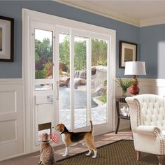 a dog standing in front of a sliding glass door next to a cat sitting on the floor