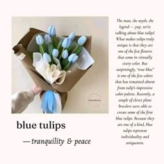 blue tulips in a paper box with the words tranquility and peace