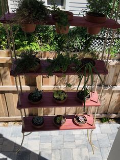 an outdoor garden with potted plants and hanging shelves