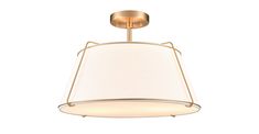 a light fixture with a white shade hanging from it's center point, on a white background