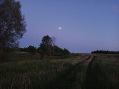 the moon is setting over a field with tall grass and trees in the foreground