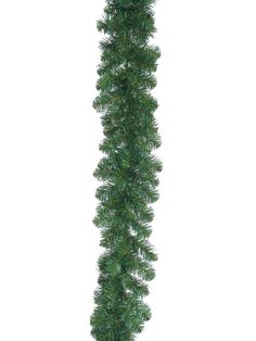 a long pine tree is shown against a white background