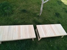 two wooden benches sitting in the grass next to a tree