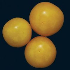 three yellow tomatoes sitting on top of each other