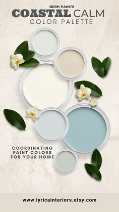 the color palette for coastal calm