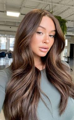 hair trends 2023 Brown Glossed Hair, Fall Medium Brunette Hair Color, Rich Brown Dimensional Hair, Tone Down Highlights Brunettes, Natural Beige Hair Color, Fall Balayage Brown Hair, Chocolate Brown Hair With Light Brown, Hair Trends 2023 Brunette, Trending Brown Hair Color 2023