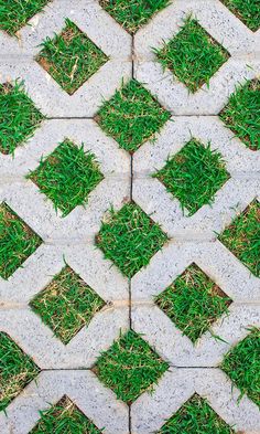 overgrowth grassy diamonds living wall wallpaper mural Isabella Gardner, Pavement Pattern, Free Wallpaper Samples, Nature Patterns, Gardner Museum, Topic Ideas, Grass Pattern, Diamond Trellis, Landscape Stone